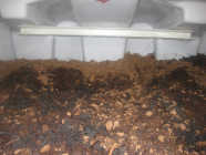 Peat Filter Maintenance