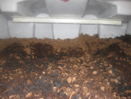 Premier Tech EcoFlo Peat Filter Maintenance Bucks County